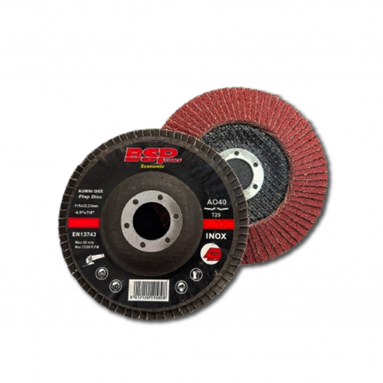 BINIC ECO FLAP DISC 115X22-24X16MM (40) 10PC